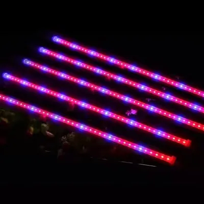 Multi Color Tube Light